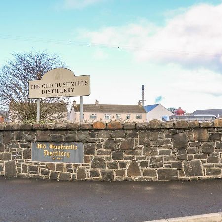 Alken Cabin Bushmills Dış mekan fotoğraf